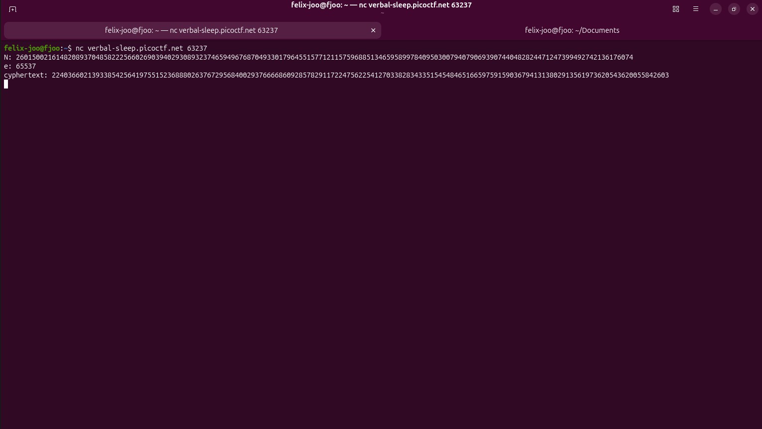 Encrypted flag and public key values N and e from the server
