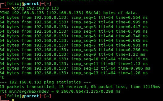 Ping confirming the target host is reachable